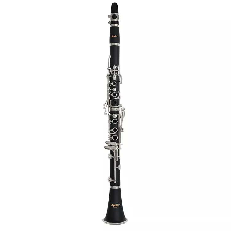 Apollo ACL-1400 Student Clarinet