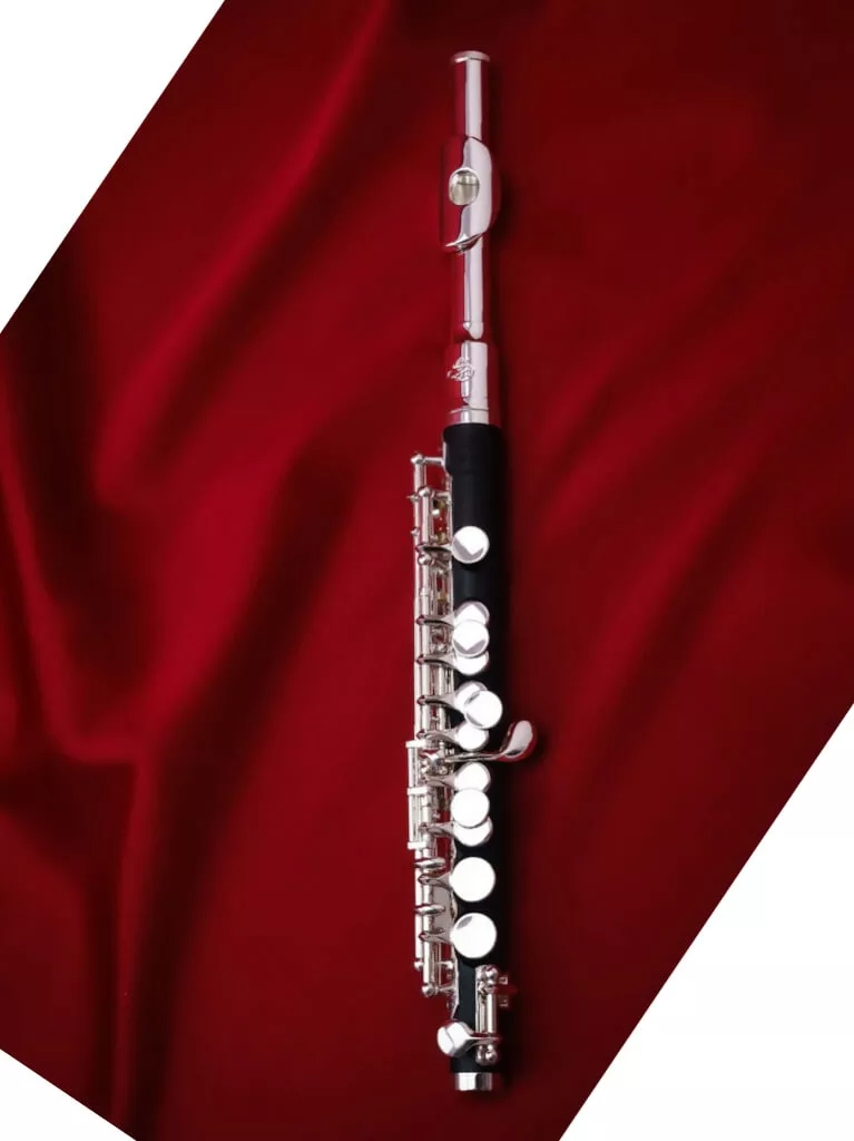Di Zhao DZP-101 Piccolo
