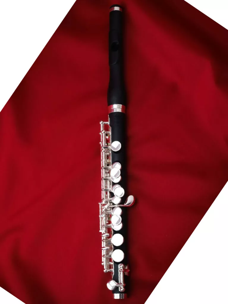 Di Zhao DZP-102 Piccolo