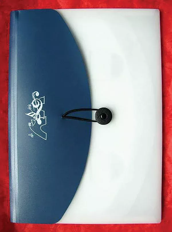Document Wallet (Blue): Blue