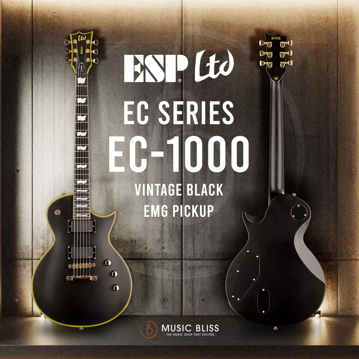 ESP LTD EC-1000 with EMG Pickups – Vintage Black (EC1000VB)