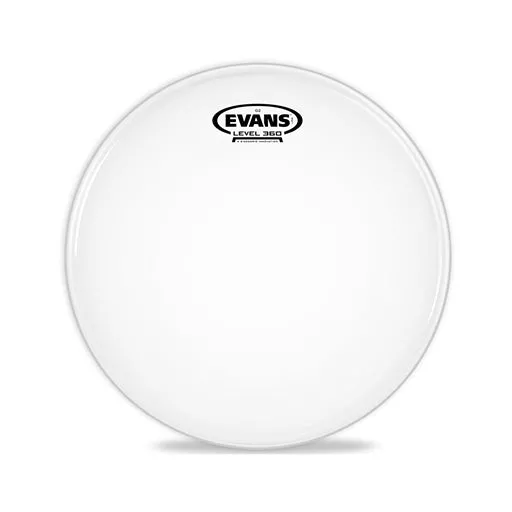 Evans B18G2 18inch G2 Coated – Tom