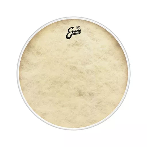 Evans BD18CT 18inch Calftone - Bass