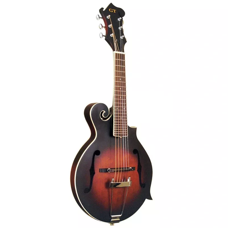 Gold Tone F-6 6-String F-Style Mandolin Guitar