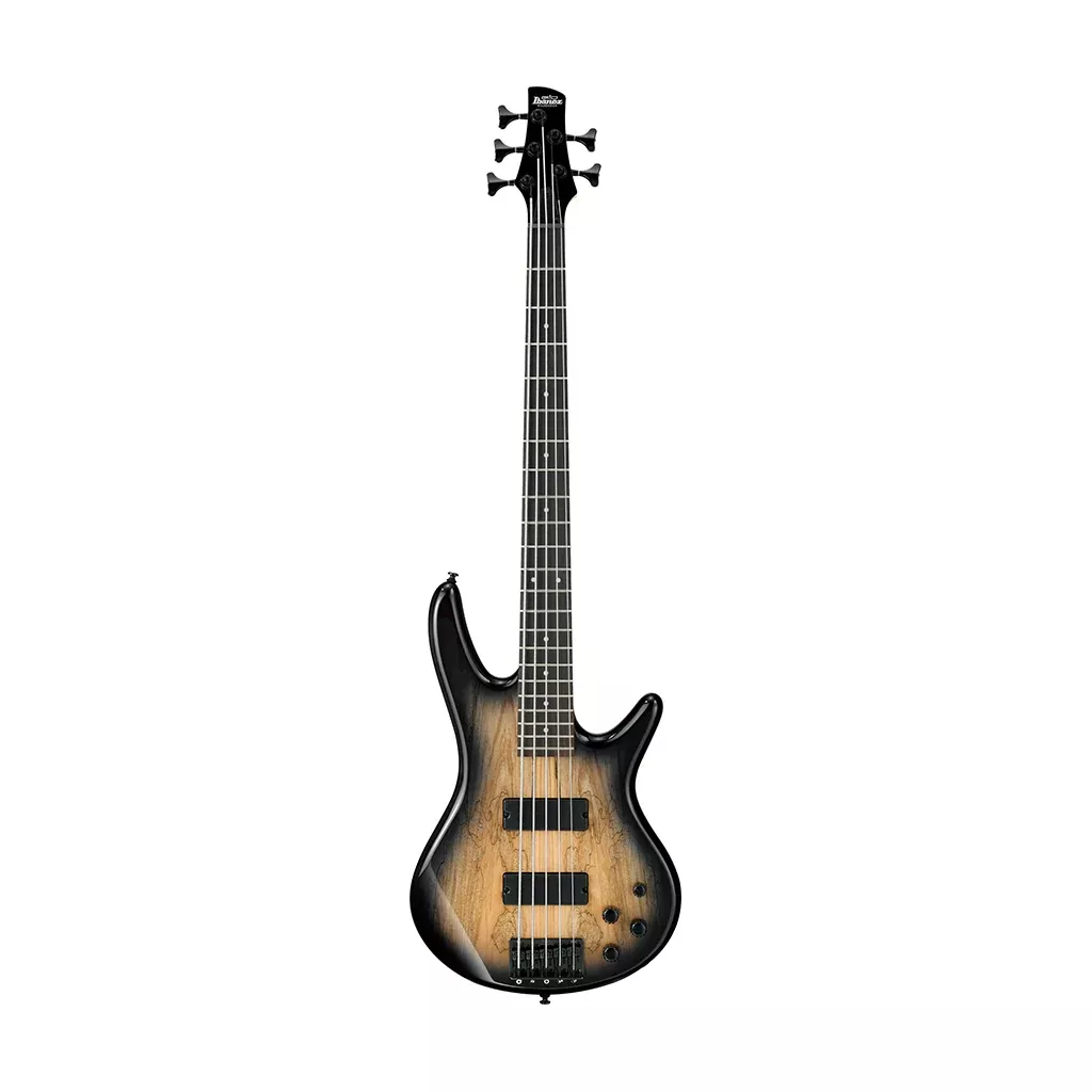 Ibanez GSR205SM-NGT 5-String Electric Bass Guitar, Natural Gray Burst