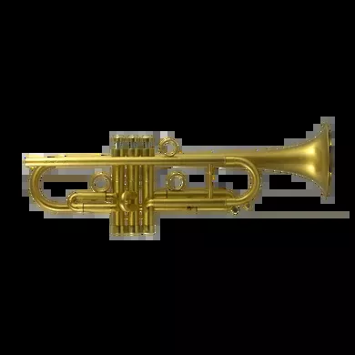 JP by Taylor pro Bb Trumpet