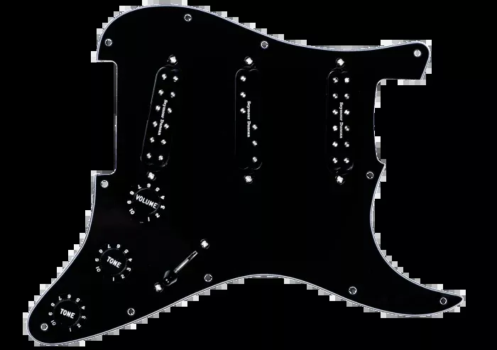 ^PICKGUARD ASSY EVERYTHING AXE BLACK