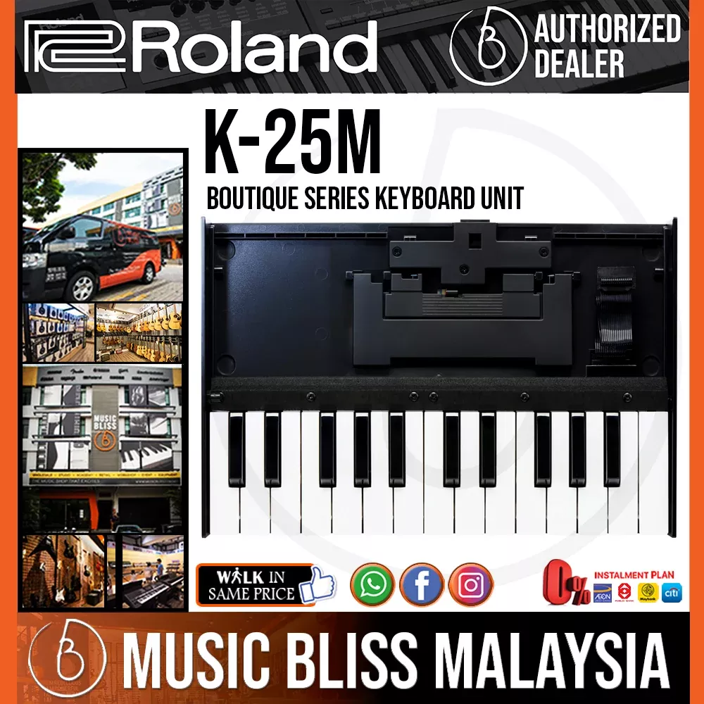 Roland Boutique Series K-25m 25-note Accessory Keyboard Unit
