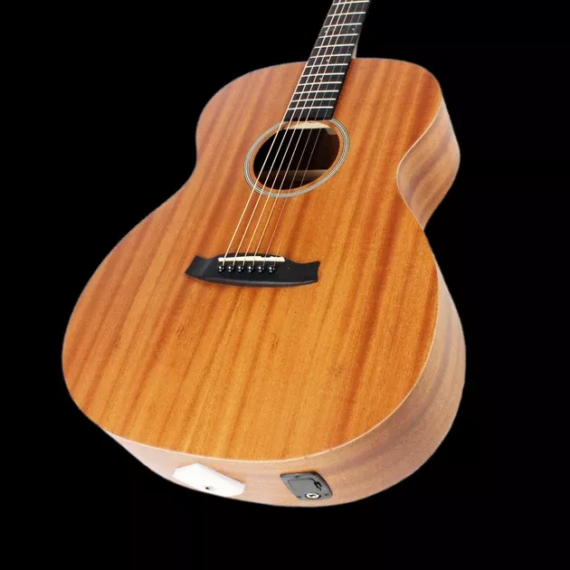Tanglewood TW2E Winterleaf Electro Acoustic Guitar w /Gigbag