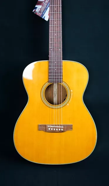 Tanglewood TW40 O AN E LH +DLx Case in Natural Gloss
