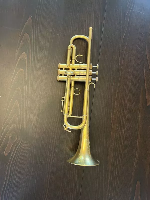 Used Shires CVLA-XL in Raw Brass