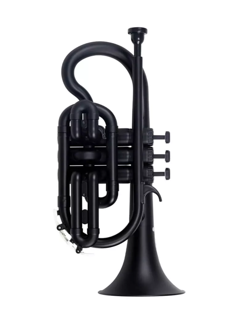 ZOCOR Cornet